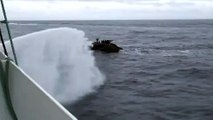 Sea Shepherd failed KAMIKAZE