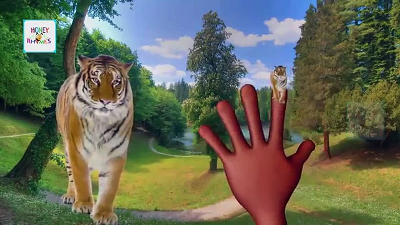 Finger Family Collection Cartoons For Kids | Ice Cream Dinosaurs Transformers Daddy Finger Rhymes