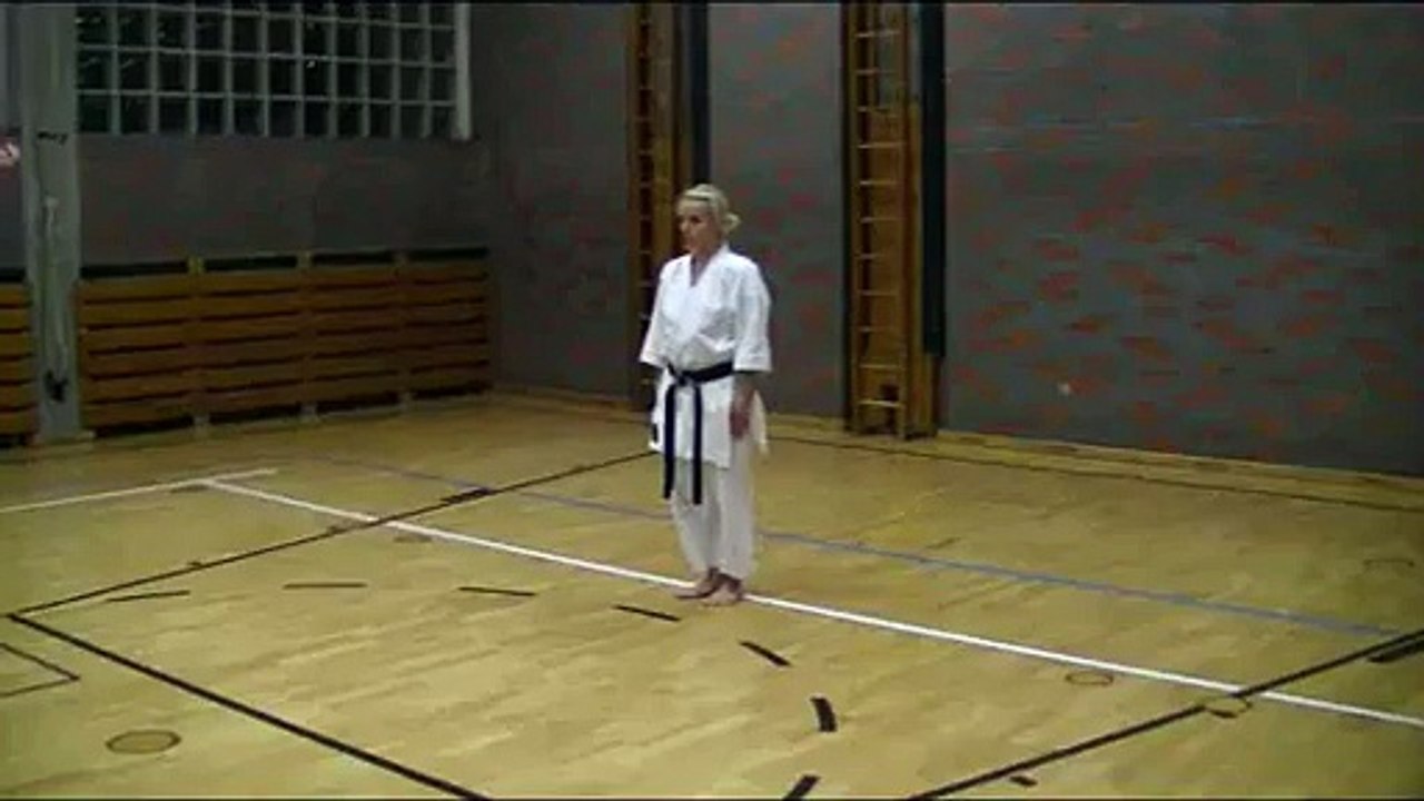 Shotokan Karate Kata Heian-Nidan7.Kyu Orangegurt