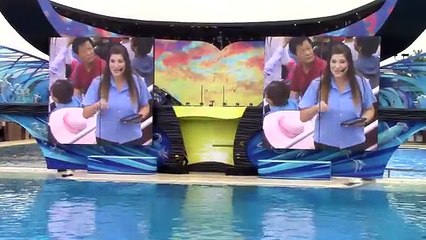 Killer Whales_ Up Close (Full Show) at SeaWorld San Diego