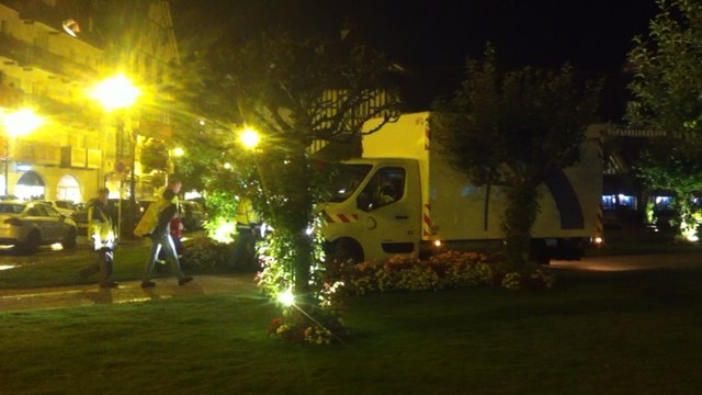 Cow parade : les vaches se sont installées dans la nuit