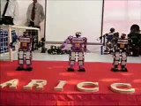 Robo-Erectus Educational and Entertainment Humanoid Robots