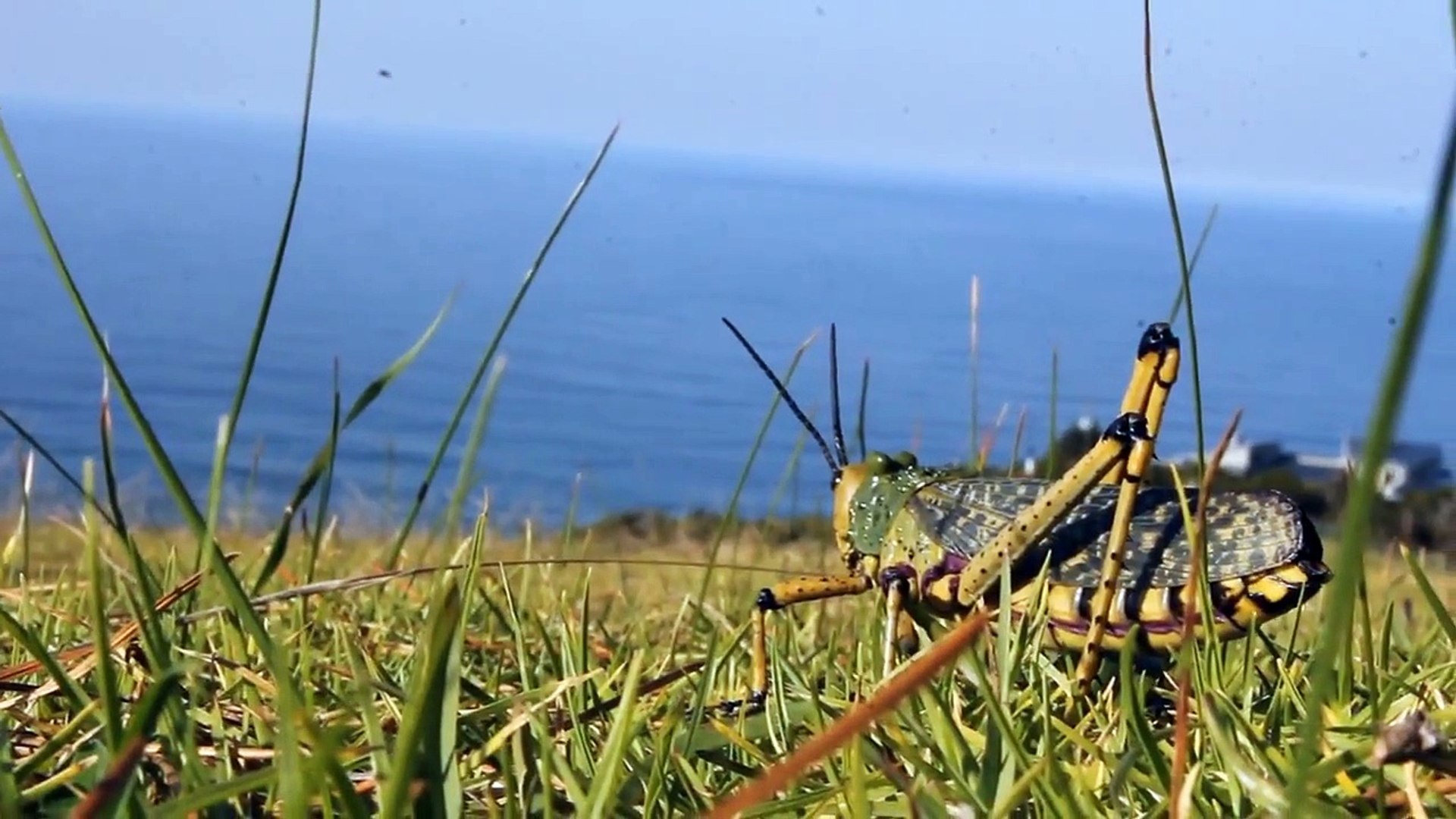 Knysna, South Africa