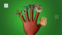 Crazy Finger Family - Animal Funny Cartoon Animation Finger Family Children Nursery Rhymes in 3D