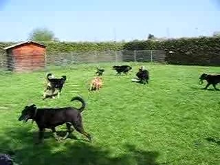 LE BONHEUR EST DANS LE PRE 1