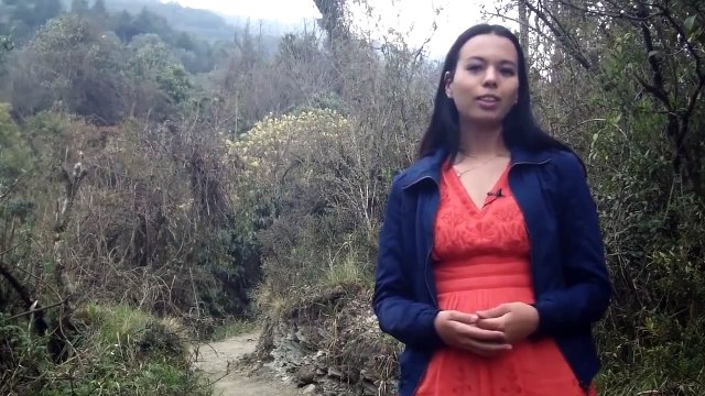 Уроки японского языка для начинающих: японские приветствия. Уроки Японского Дарьи Мойнич