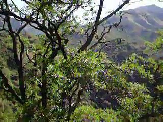 Camino al Dique Los Alazanes