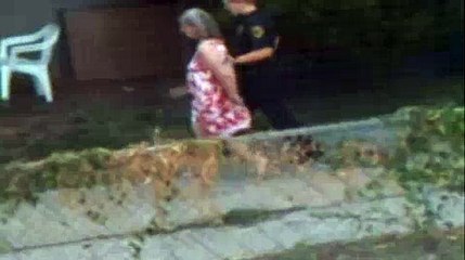 Crazy Neigbor Lady Gets Arrested!!