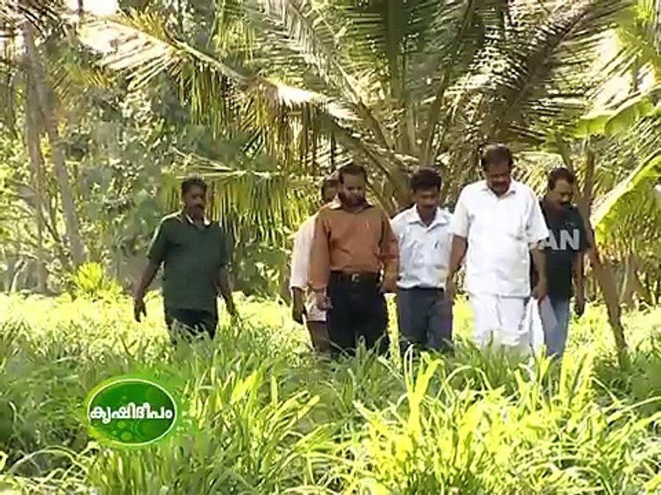 Success story of a dairy farmer Thomson Dairy,Thrissur