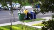 Garbage Scavenger - stealing from residential trash cans in Los Angeles, California