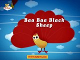 Baa Baa Black Sheep -  Babytv