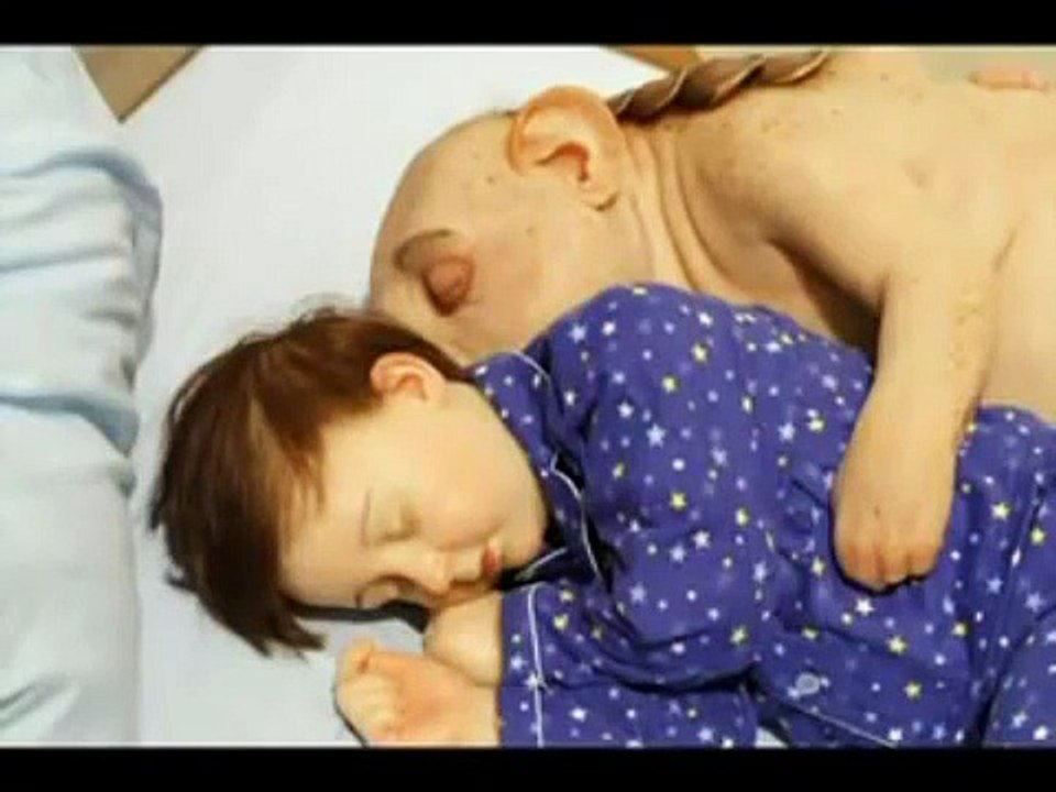 Piccinini Human Animal Hybrids   Hybrid family
