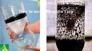 Mosquito-Trap