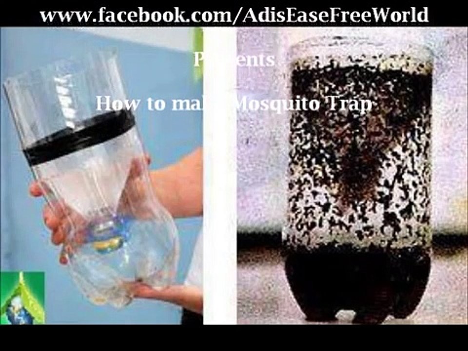Mosquito-Trap
