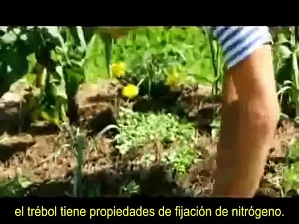 Agricultura Natural: La Historia de una Huerta