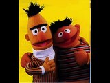 Hans teeuwen bert en ernie voice over