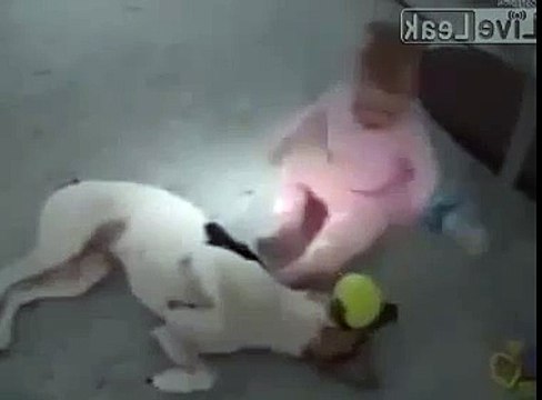 funny baby hot 2014 animals drinking milk Cute animal compilation