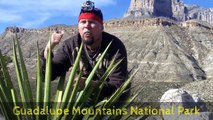 Bubba Goes to Carlsbad Caverns, New Mexico
