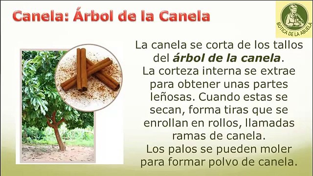 Beneficios y Propiedades de la Canela
