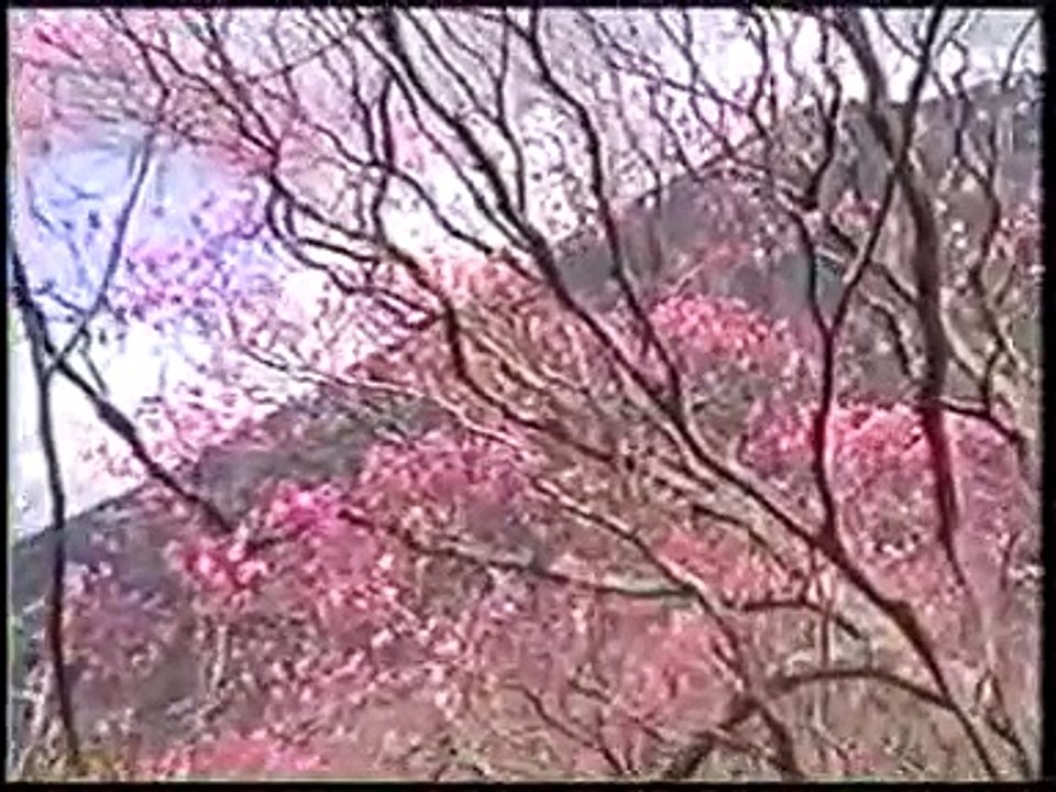 Sampling for Environmental Monitoring