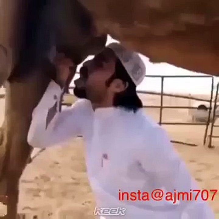 Saudi man drinking camel milk - video Dailymotion