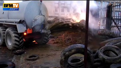 Éleveurs: action coup de poing à la préfecture de la Manche