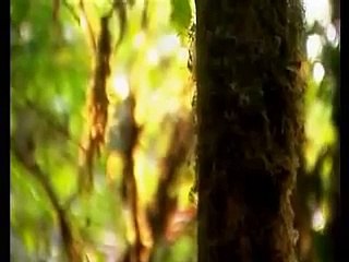 Intimate Strangers  Unseen Life on Earth  Keepers of the Biosphere