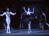 Swan lake 11 of 15 bolshoi ballet