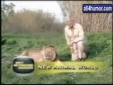 Animals have fun @ Funny Animal Videos   Funny Pet Videos, Funny Cat Videos, Cute Pets