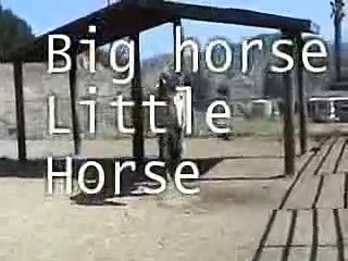 Big Horse Little Horse