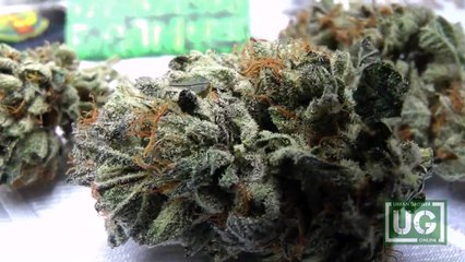 UG 71 How To Roll A Three Paper Joint