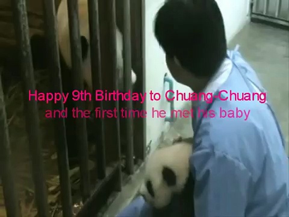 Chuang-Chuang's 9th Birthday and the first day he met his baby