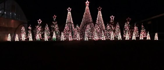 Jingle Bells Techno - Synchronized Christmas Light Show to Music