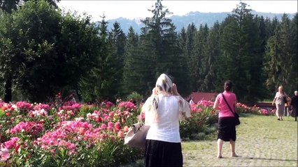 Mihail Bucă, Psalmul 102, Sf. Mânăstire Izvorul Mureșului