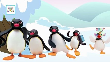 Finger Family Pingu Cartoon Animation Children Nursery Rhymes HD | Pingu Finger Family Songs HD