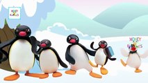 Finger Family Pingu Cartoon Animation Children Nursery Rhymes HD | Pingu Finger Family Songs HD