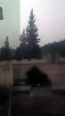 بالفيديو  عاصفة قوية هزت زغوان البارحة