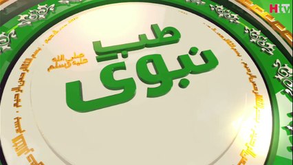 Saaf Pani Ki Ahmiyat - Tib e Nabvi - HTV