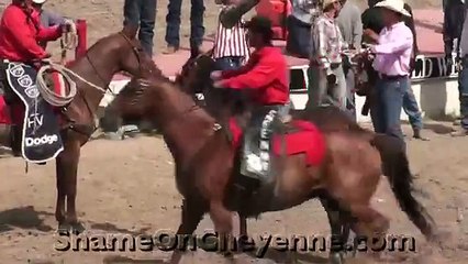 Horse Killed at Cheyenne Rodeo (Graphic)