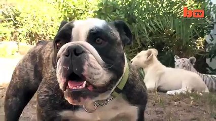 LIP서비스 수원출장안마 ～OIO～2I56～42O2～꿀렁대는 바디라인 수원출장마사지