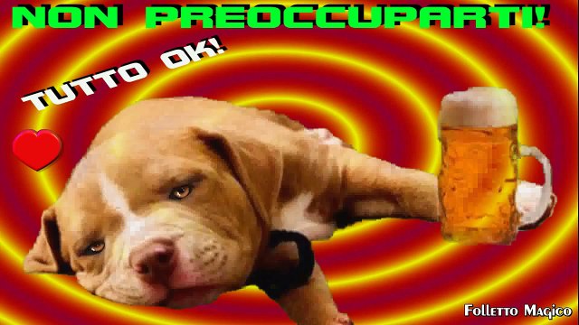 animali parlanti cane ubriaco talking dog sono arrivato tranquilla non preoccuparti tutto ok