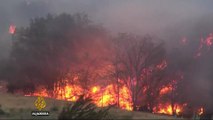 Raging US wildfires burn homes, force evacuations