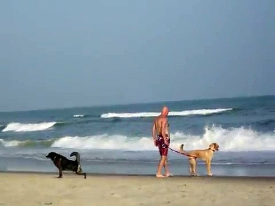 Woman buries dog poop on Ocracoke beach.
