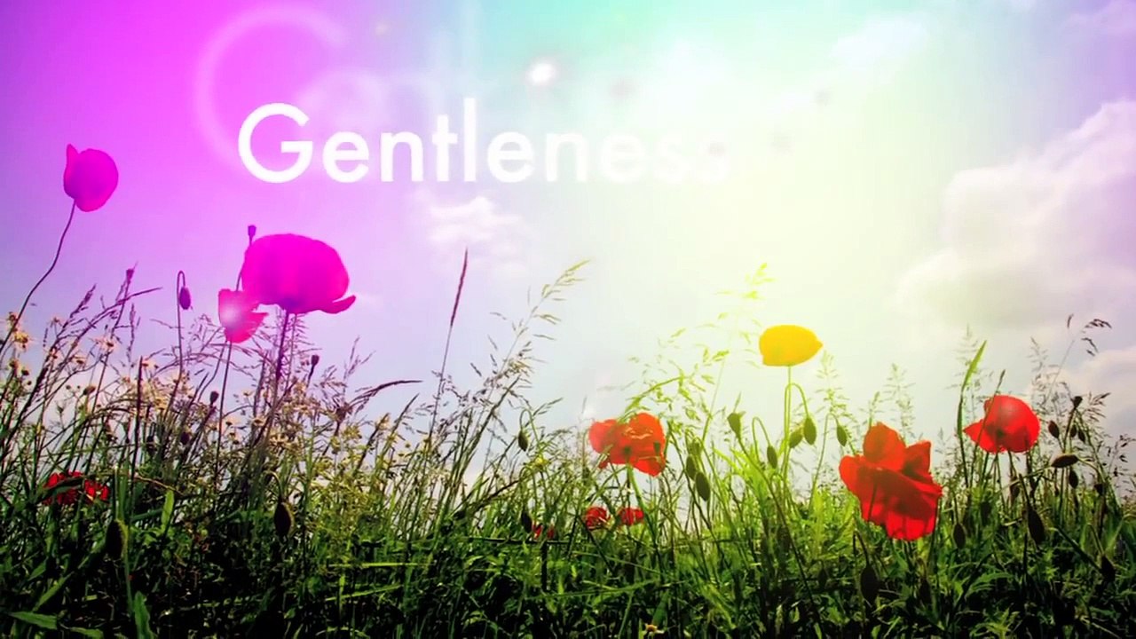 Fruits of the Spirit illustration Video