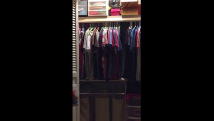 Funny cat turns light on and off