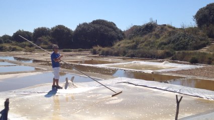 Les Salines forment les apprentis sauniers