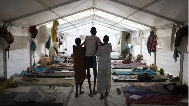 The Cure - Finding a Cure for Kala Azar and Hen Therapy for the Old and Lonely