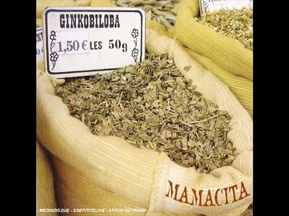 ginkobiloba   De l'autre côté