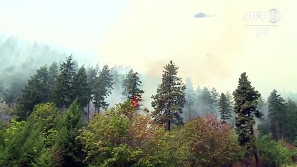 Скачать видео: Etats-Unis: l'armée à la rescousse pour combattre les incendies