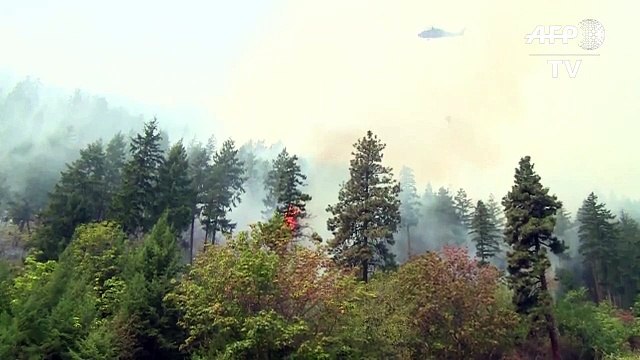 Etats-Unis: l'armée à la rescousse pour combattre les incendies